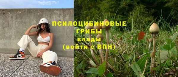 каннабис Алексеевка