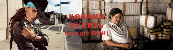 стаф Осинники