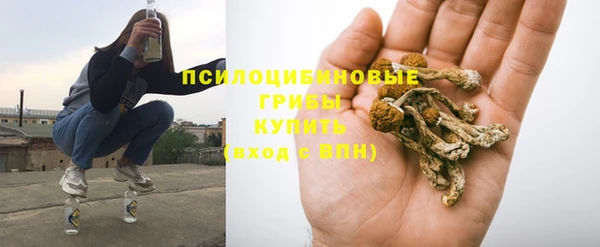бошки Осташков