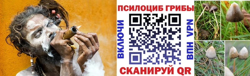 Галлюциногенные грибы ЛСД  Ленинск-Кузнецкий 