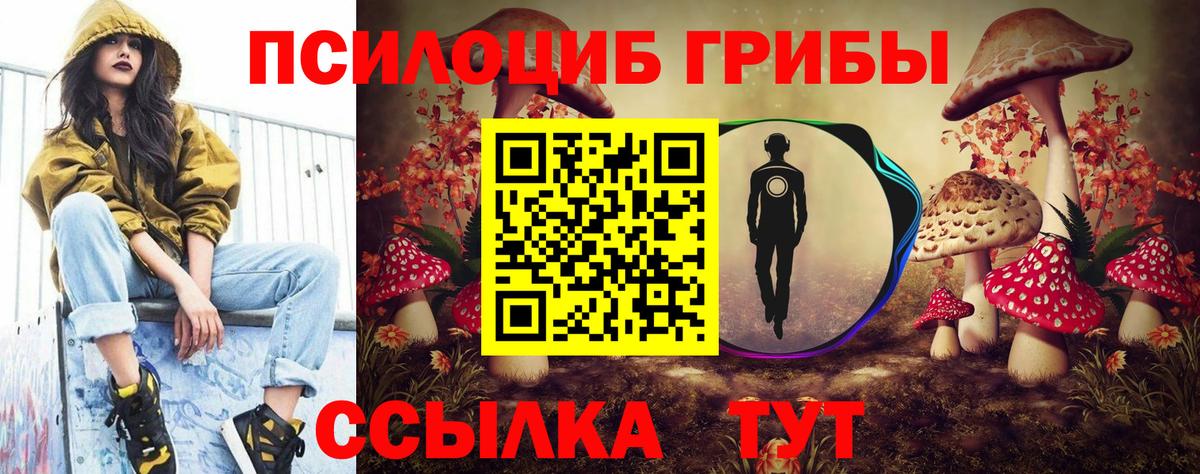 Псилоцибиновые грибы MAGIC MUSHROOMS Ленинск-Кузнецкий