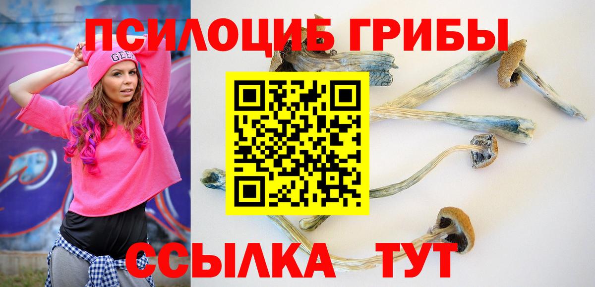 Ленинск-Кузнецкий  Псилоцибиновые грибы GOLDEN TEACHER  Вход с VPN 